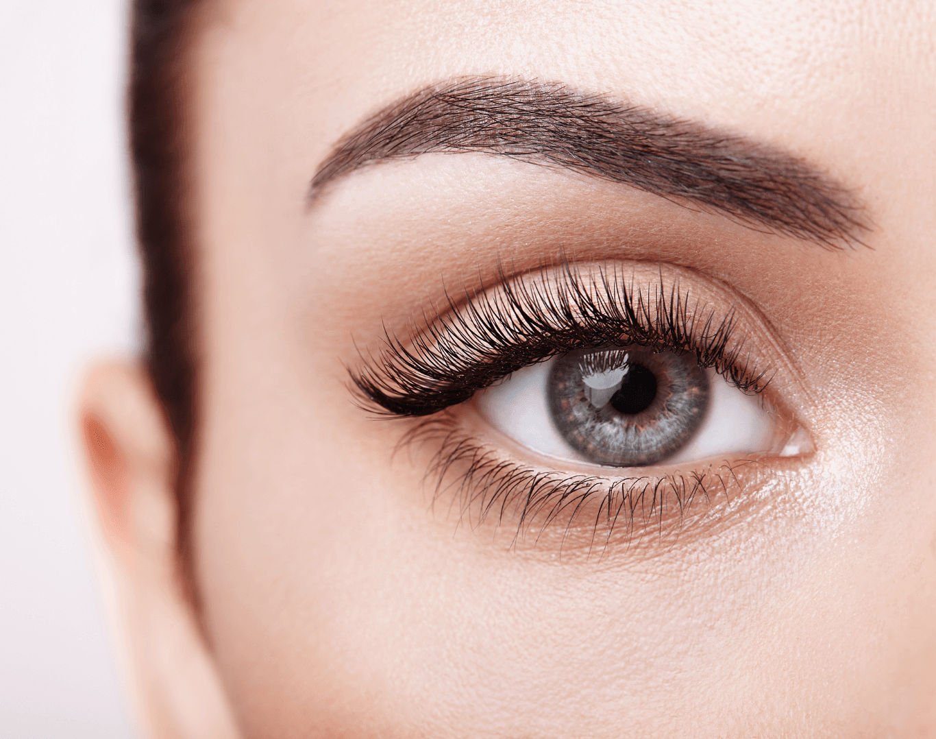 Close-up of professionally shaped brows and enhanced lashes from an eye treatment at Directors Cut Hair, Nails and Beauty, Crystal Peaks, Sheffield